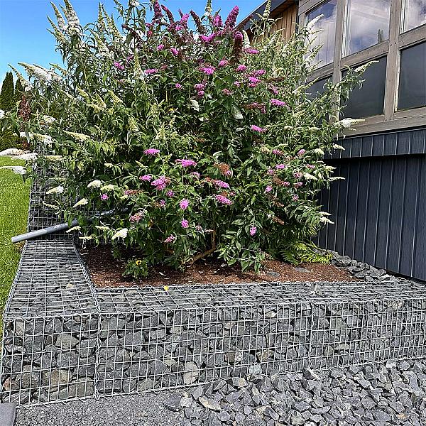 Gabionen mit Basaltsplitt und blühenden Sträuchern in einem modernen Garten.
