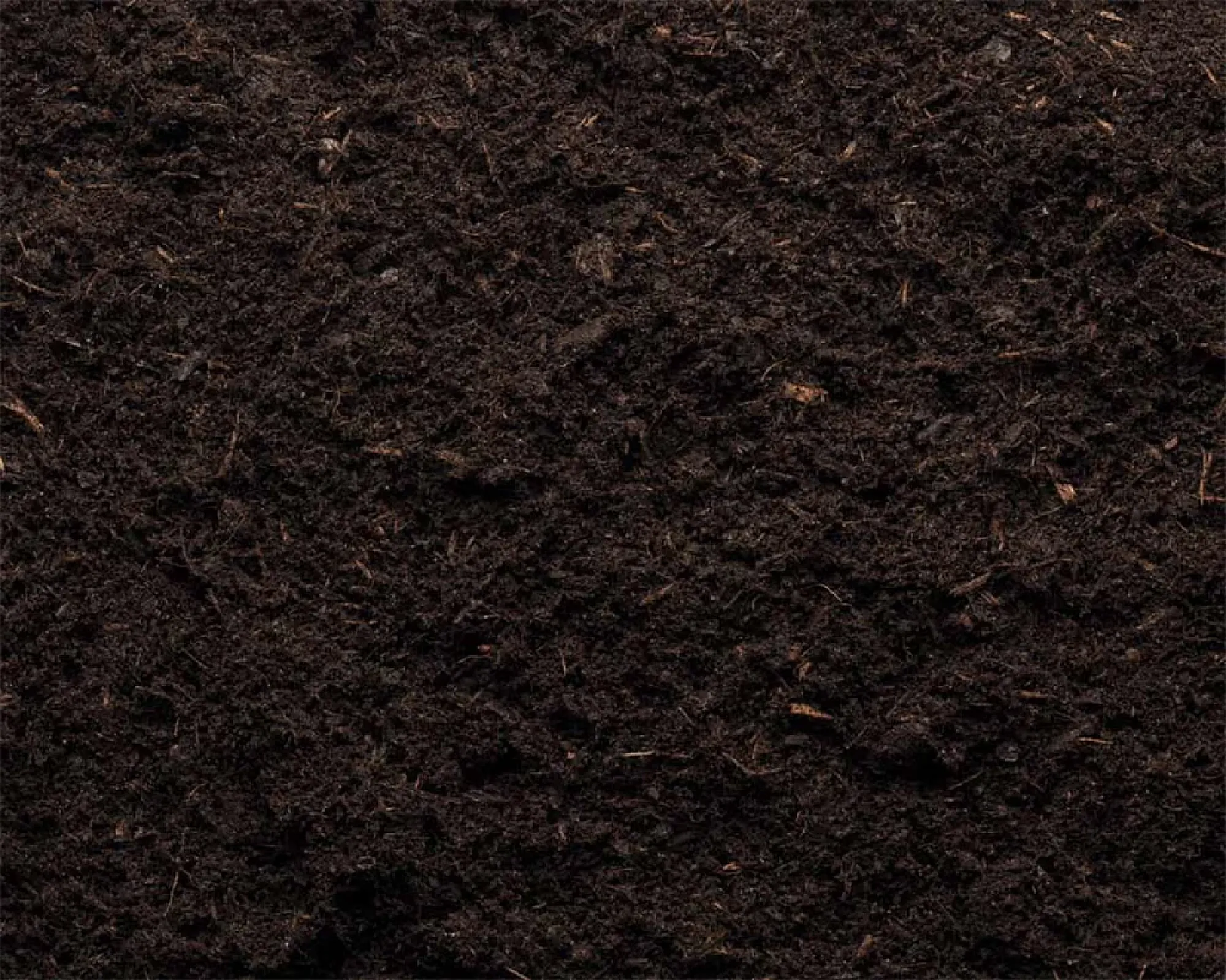 Dunkelbrauner Humus-Kompost von Florikomp Erden & Substrate, reichhaltige Textur, geeignet für Gartenanwendung.