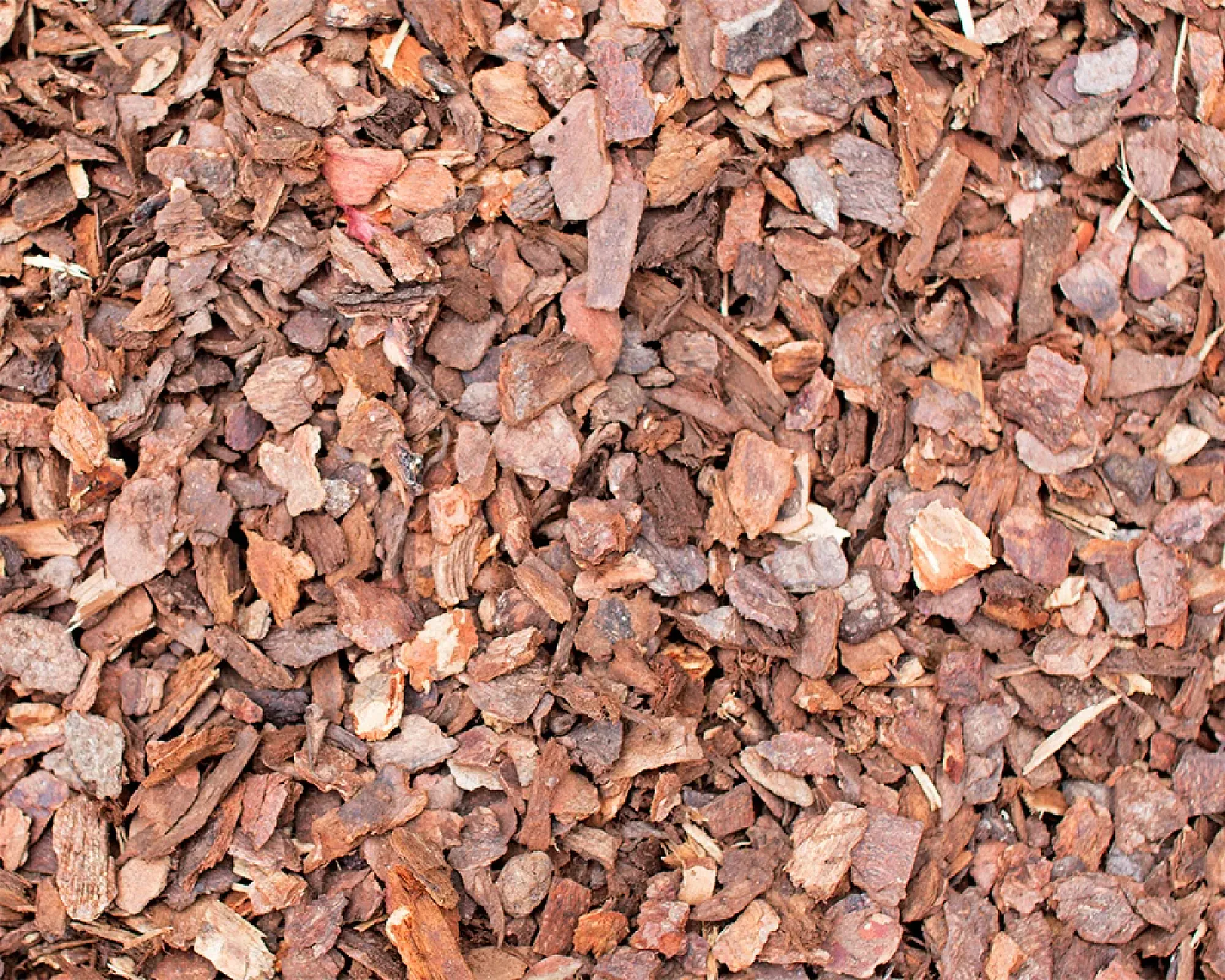 Braun gefärbter Kiefernrindenmulch in Nahaufnahme, verwendet zur Gartenpflege und Bodenabdeckung; Marke Florikomp.