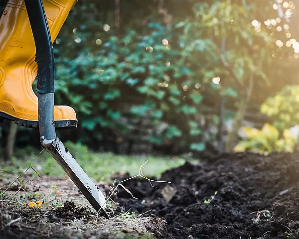 Gelbe Gummistiefel treten neben einem Spaten auf Erde im Garten, umgeben von grünen Pflanzen.