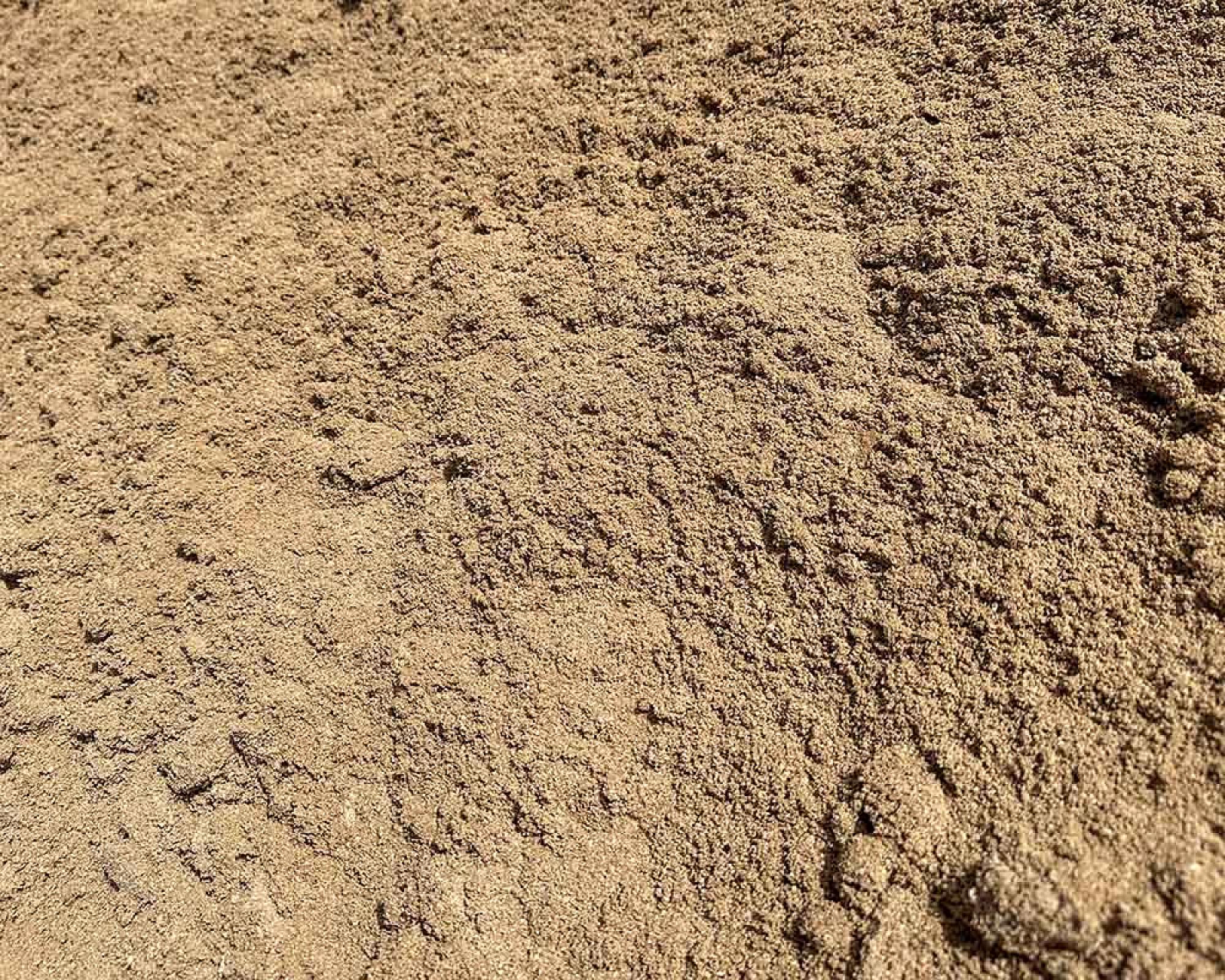 Heller Sandhaufen aus gewaschenem Mauersand, gleichmäßig verteilt, feine körnige Struktur.