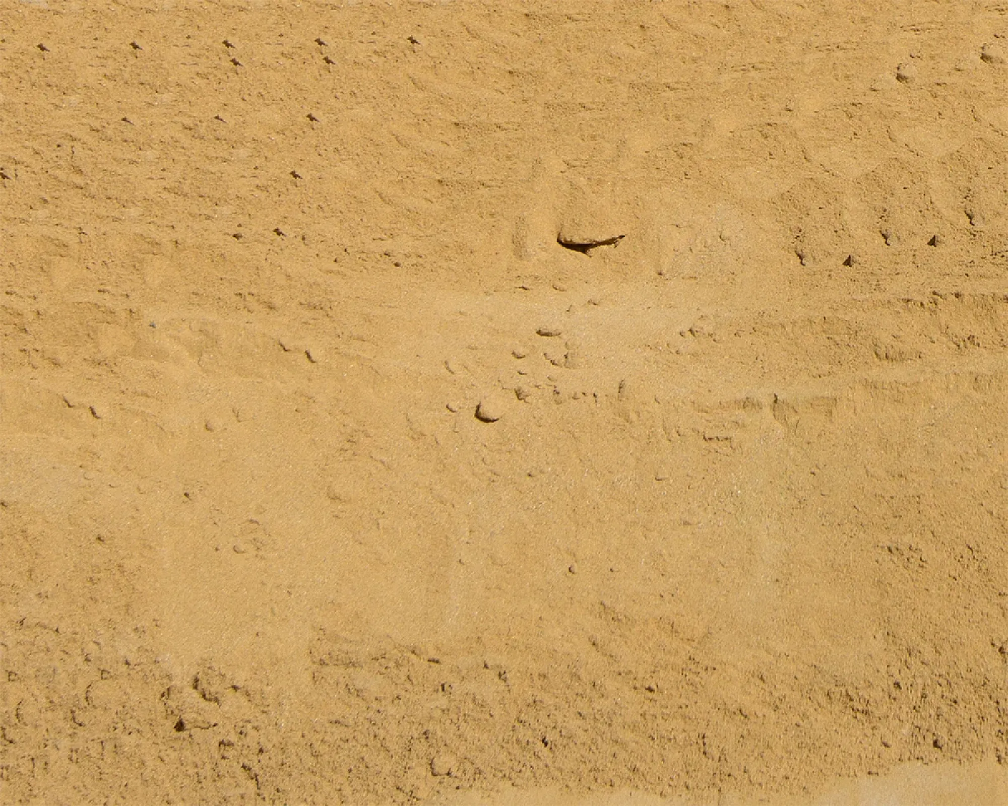 Gewaschener Mauersand in Beige von Hellerwald, gleichmäßig verteilt.