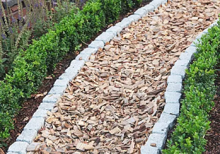 Gartenweg mit Holzhackschnitzeln, eingefasst von rechteckigen Steinen, mit grünen Pflanzen seitlich.