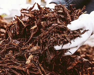 Hände in weißen Handschuhen halten groben braunen Rindenmulch von Hellerwald.