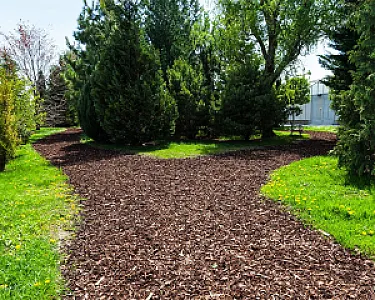 Grobkörniger Rindenmulch bedeckt einen verschlungenen Gartenweg im Park, umgeben von grünen Bäumen und Wiesen.
