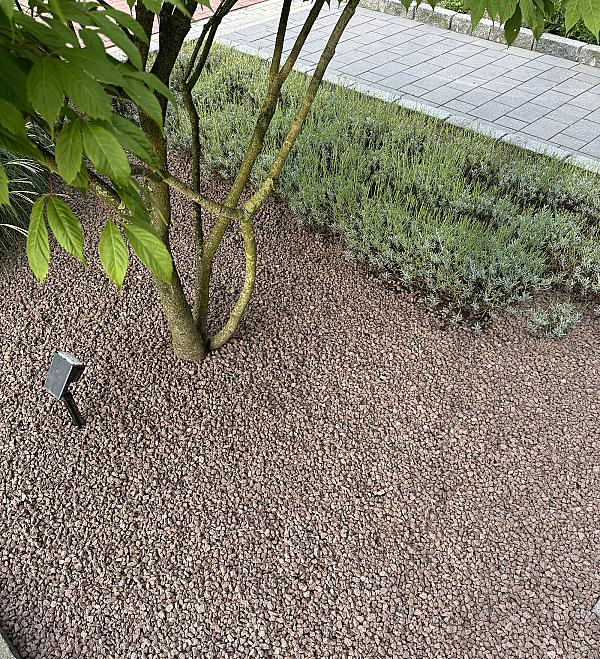 Lavaschotter unter einem Baum, umgeben von Grünpflanzen in einer gepflegten Gartenanlage.