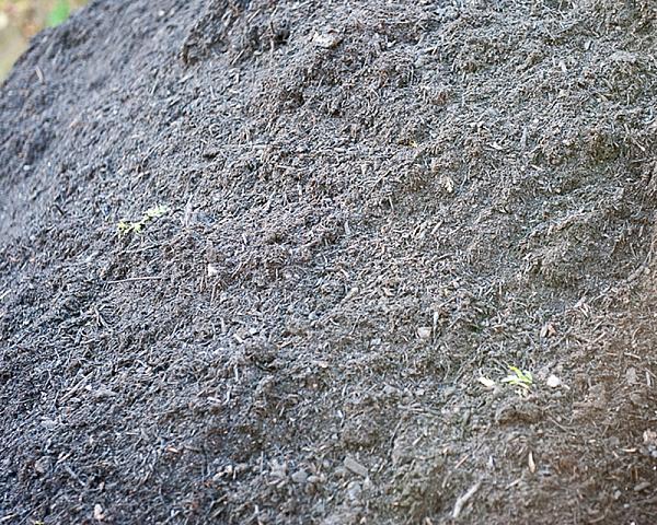 Großer Haufen aus dunklem Gartenkompost, vereinzelt mit kleinen Pflanzenresten, von Florikomp Erden & Substrate GmbH.