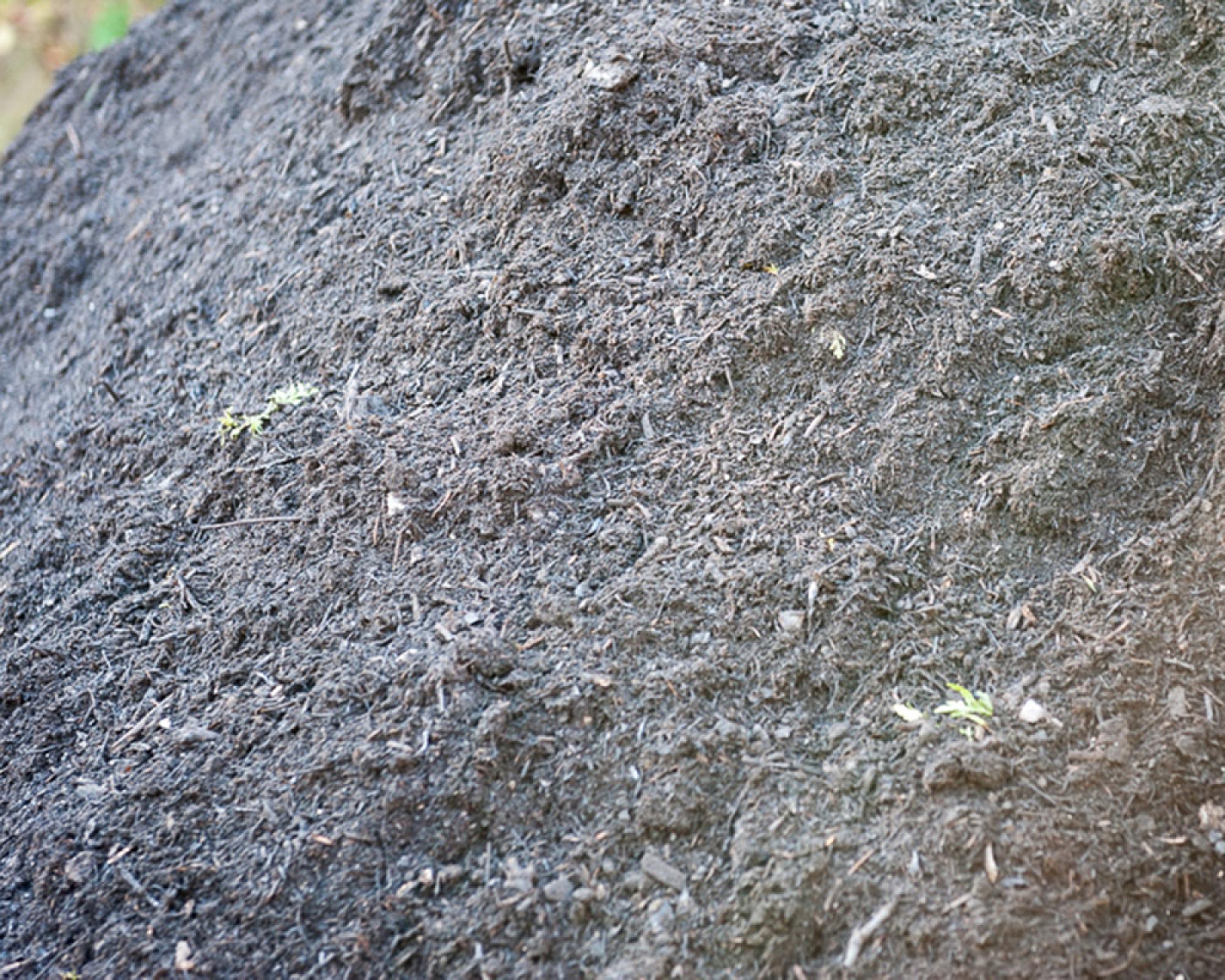 Großer Haufen aus dunklem Gartenkompost, vereinzelt mit kleinen Pflanzenresten, von Florikomp Erden & Substrate GmbH.