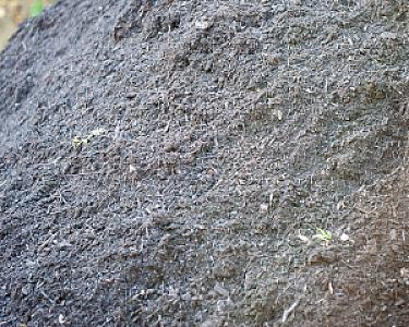Großer Haufen aus dunklem Gartenkompost, vereinzelt mit kleinen Pflanzenresten, von Florikomp Erden & Substrate GmbH.