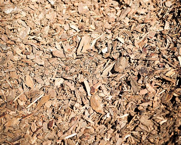 Rindenmulch aus Kiefernholz, gleichmäßig verteilt, ohne sichtbare Verunreinigungen, von Florikomp Erden & Substrate GmbH.
