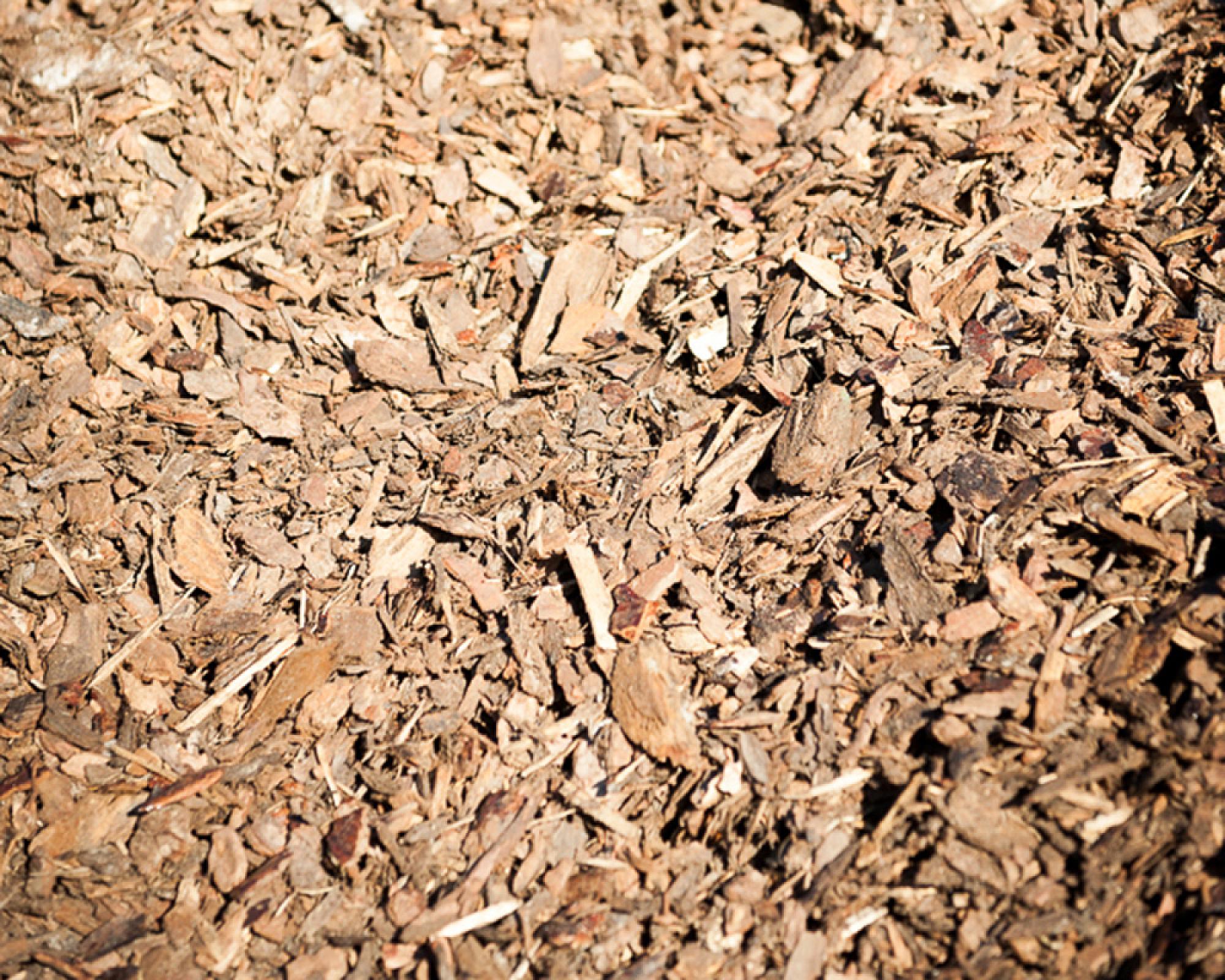 Rindenmulch aus Kiefernholz, Premiumqualität von Florikomp, gleichmäßig verteilt, nahe Ansicht der Textur.