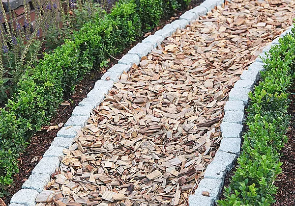 Gartenweg aus Holzhackschnitzeln, umrandet von Pflanzen und Steinplatten.
