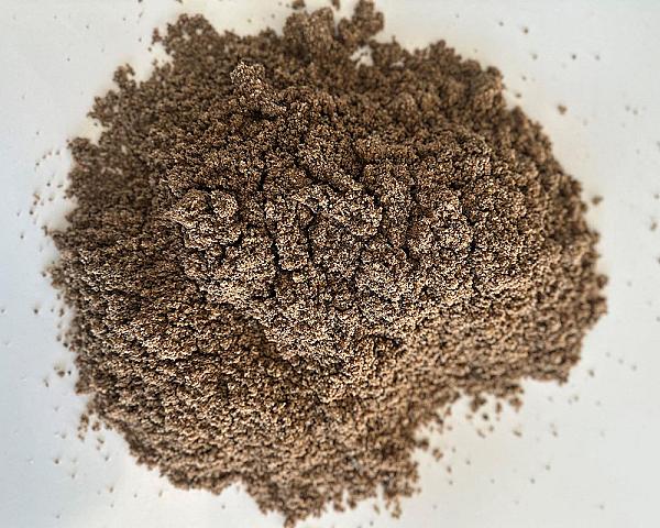 Ein Häufchen gewaschener Paddocksand auf einer weißen Oberfläche.