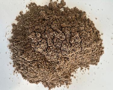 Ein Haufen gewaschener Paddocksand auf weißem Hintergrund.
