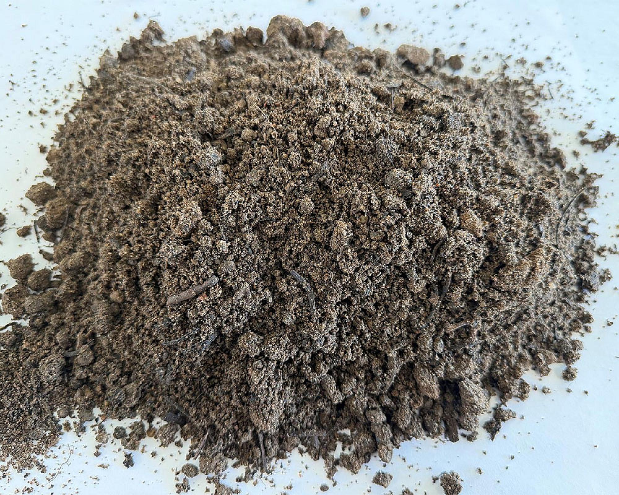 Ein Haufen lockerer, brauner Rollrasenerde von Volz und Herbert GmbH auf weißem Hintergrund.
