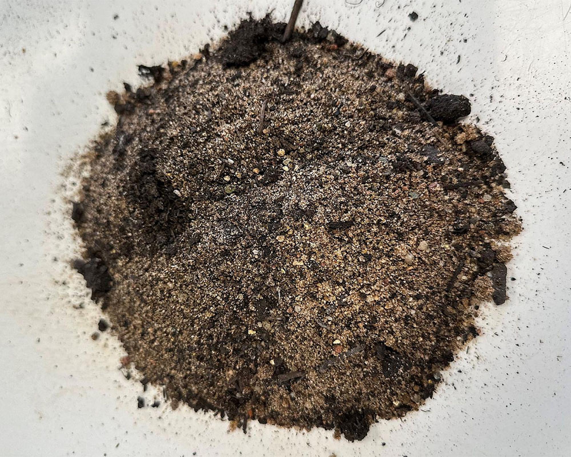 Sand-Kompost-Gemisch von Volz und Herbert GmbH auf heller Fläche.