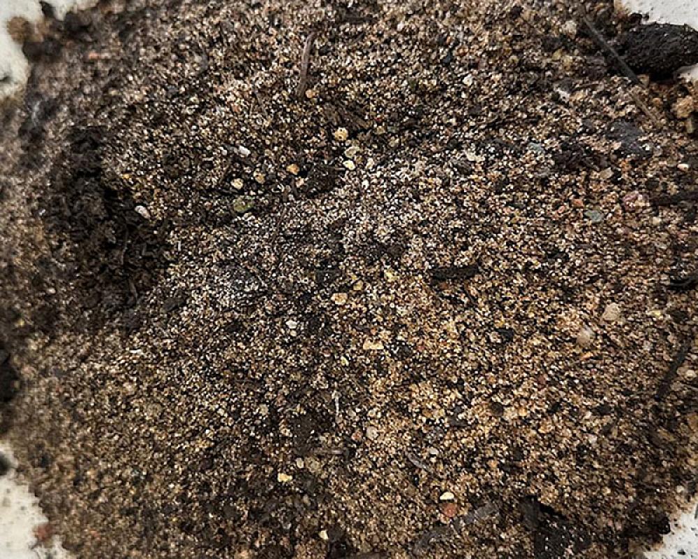 Sand-Kompost-Gemisch