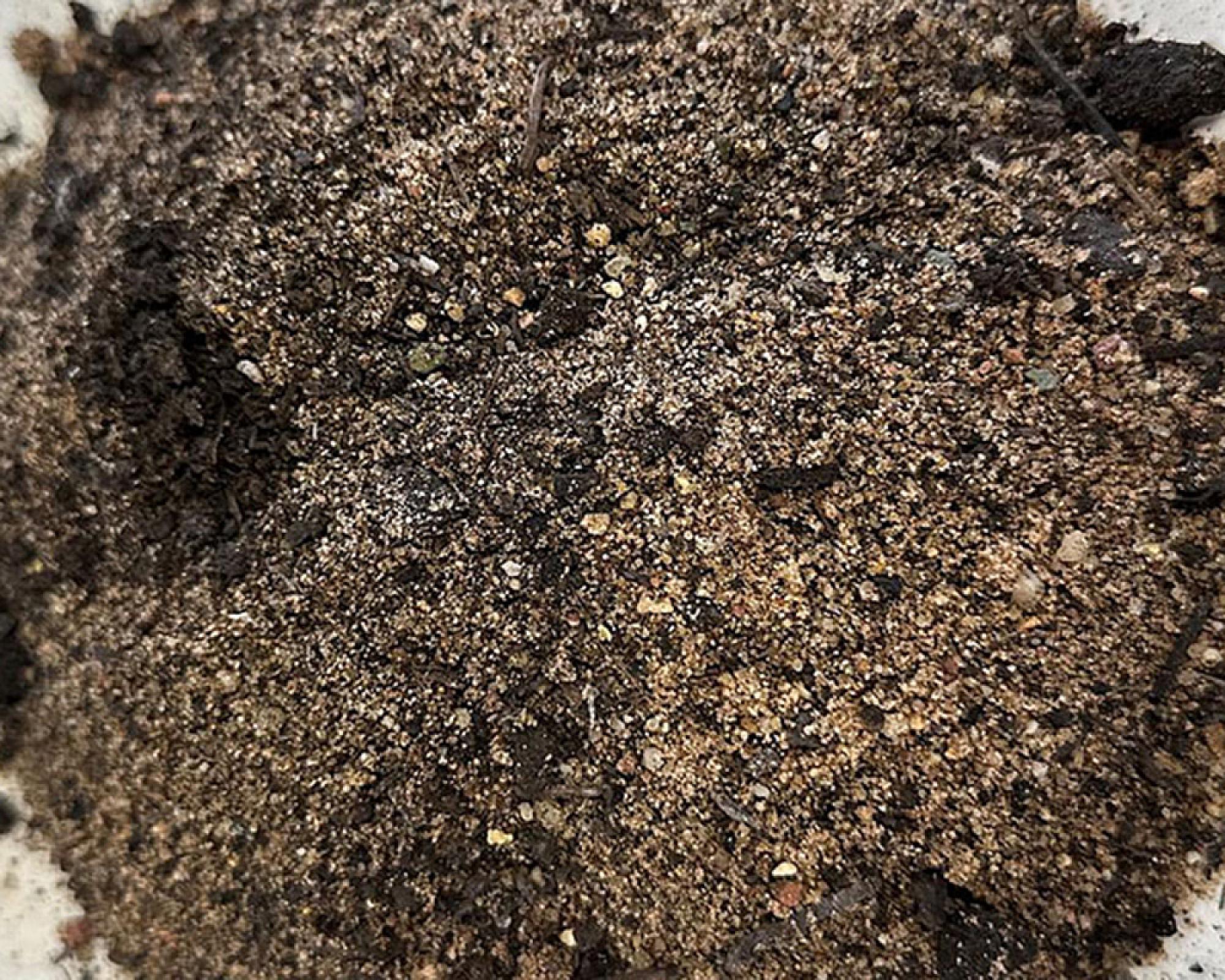 Sand-Kompost-Gemisch mit verschiedenen Texturen und Farben aus der Kollektion von Volz und Herbert GmbH.