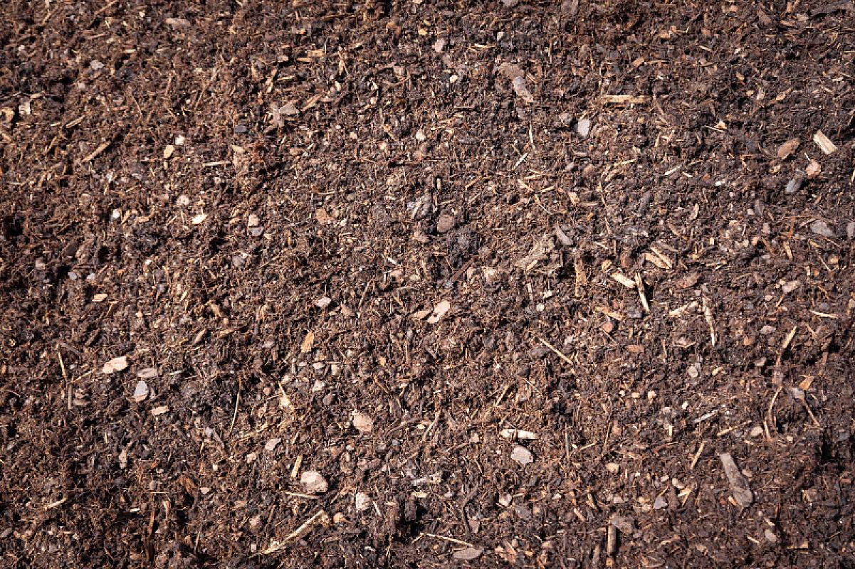 Rindenmulch fein