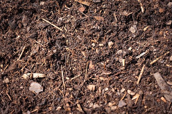 Feiner Rindenmulch, organisches Material mit Holzstücken und Erde, ideal für Gartenmulch und Bodenabdeckung.