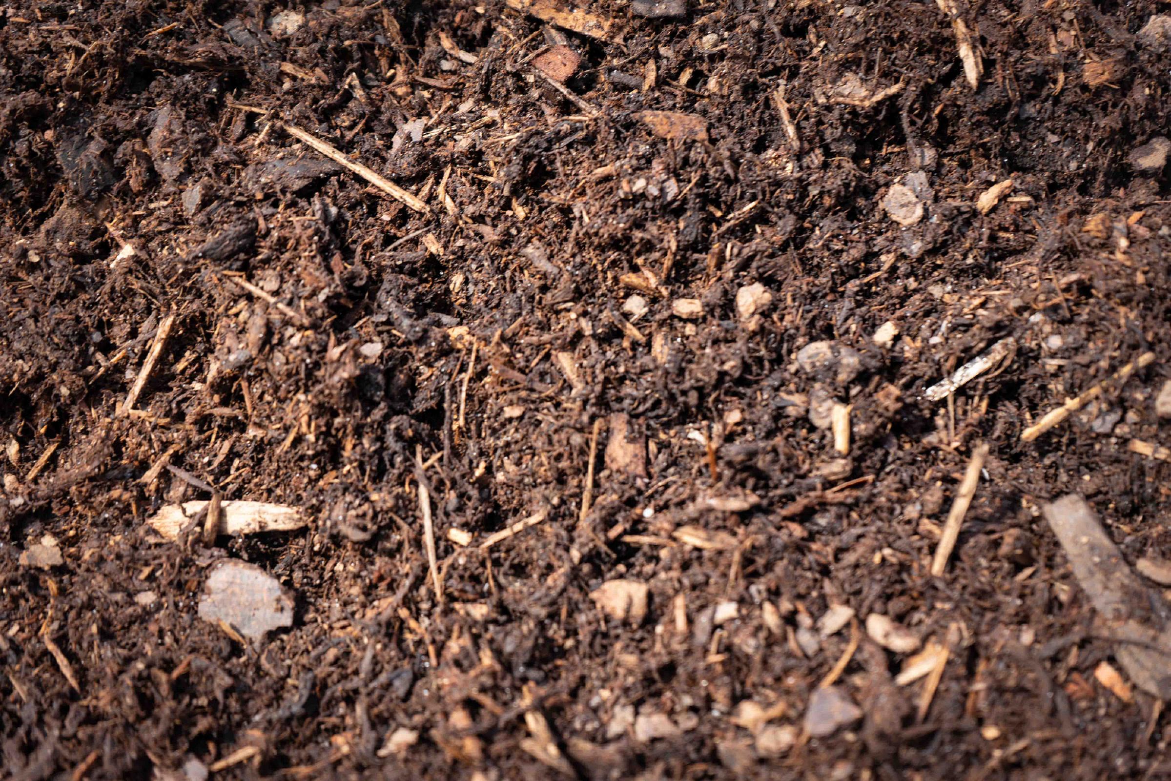 Feiner Rindenmulch, organisches Material mit Holzstücken und Erde, ideal für Gartenmulch und Bodenabdeckung.