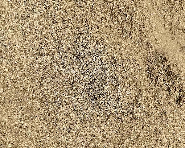 Rheinsand in einer Nahaufnahme, goldbraune Körnung, perfekte Baustoffqualität.