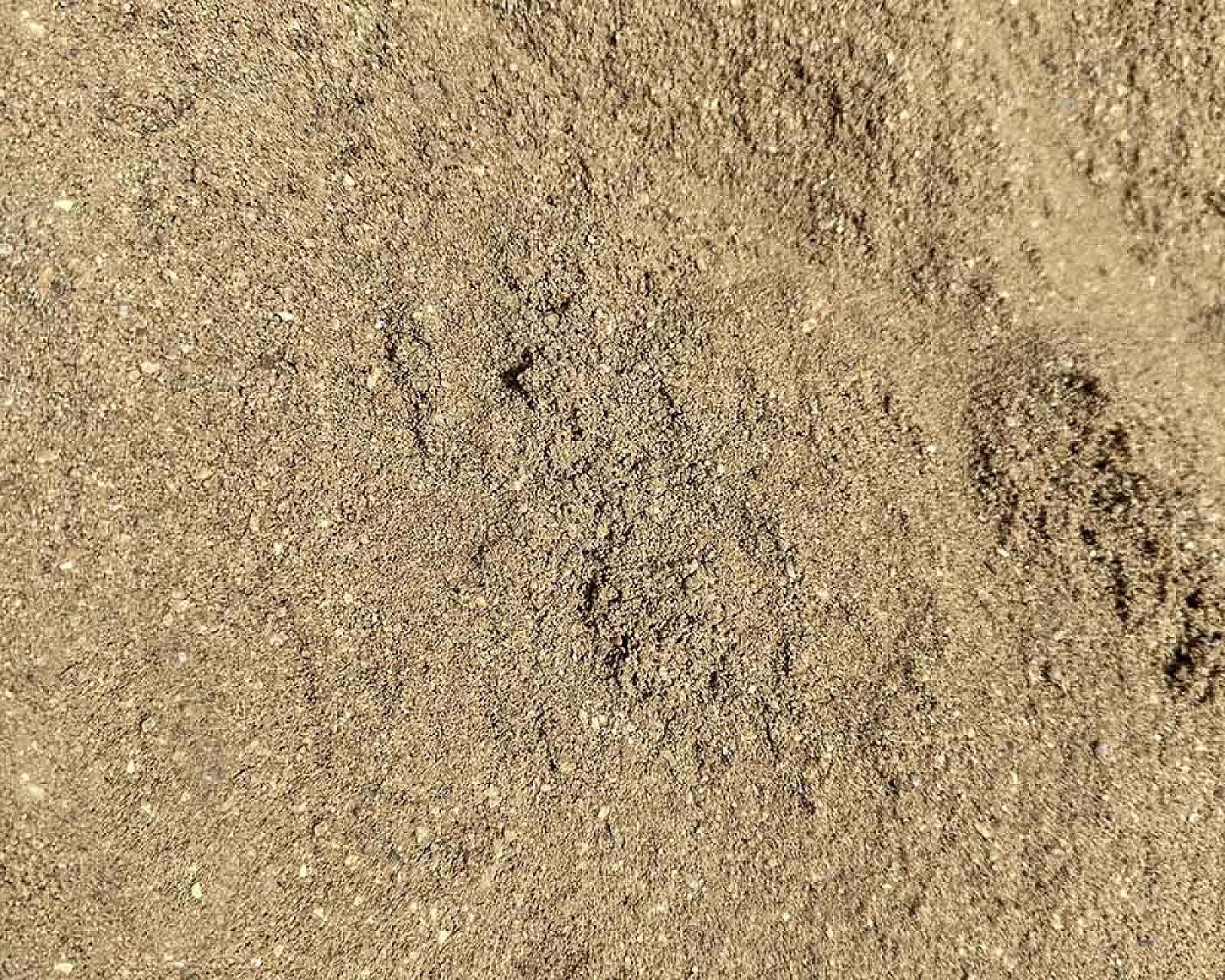 Rheinsand in einer Nahaufnahme, goldbraune Körnung, perfekte Baustoffqualität.