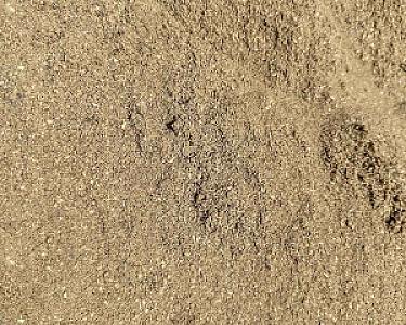 Rheinsand in einer Nahaufnahme, goldbraune Körnung, perfekte Baustoffqualität.