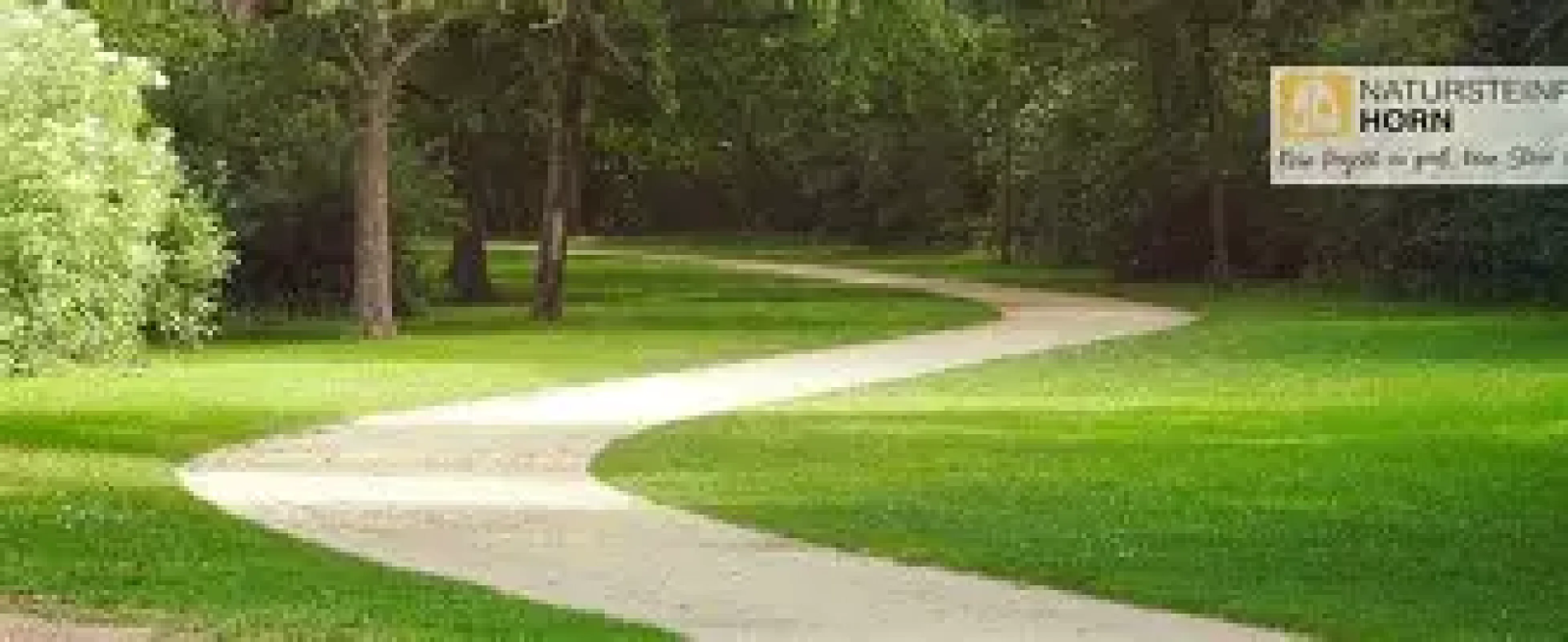 Geschwungener Weg aus gelb-beigem Hansegrand führt durch grünen Park mit Bäumen.