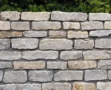 Mauer aus hellen, unregelmäßigen Muschelkalksteinen vor einem Hintergrund aus grünen Blättern.
