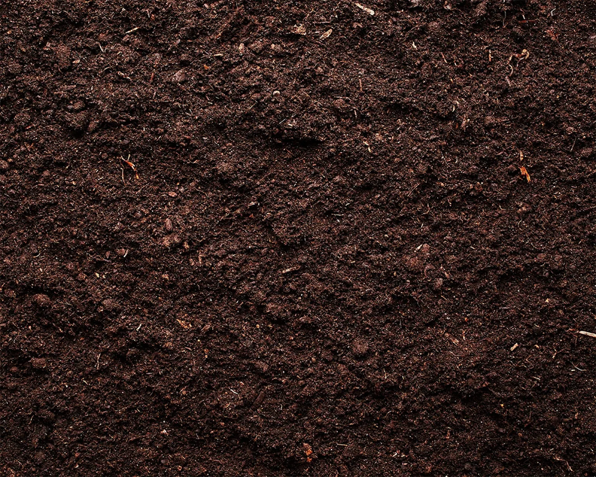 Dunkelbraune Gartenerde, Naturmaterial, verstreut auf einer Fläche.