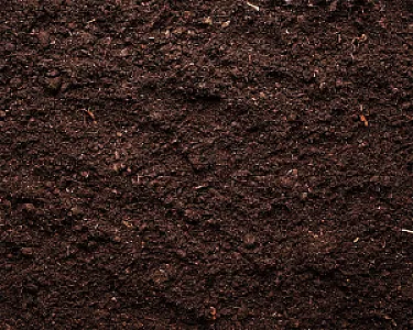 Dunkelbraune Gartenerde, Naturmaterial, verstreut auf einer Fläche.