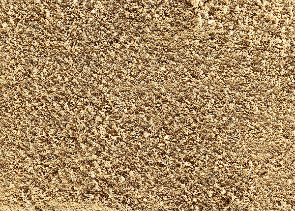 Rheinsand