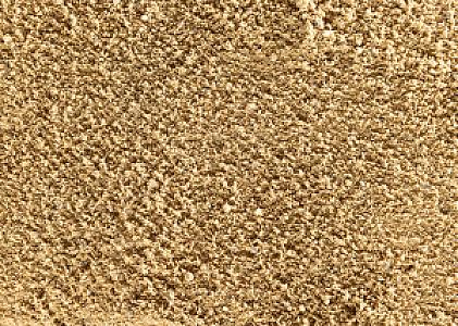 Rheinsand Bild