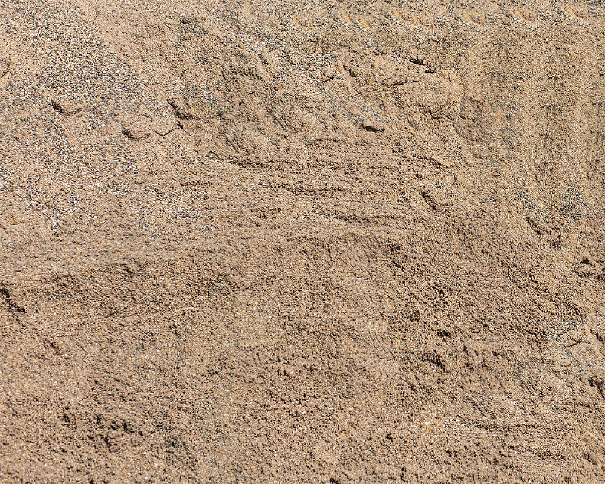 Feiner Rheinsand erstreckt sich über die gesamte Bildfläche. Klarer, beiger Sand ohne erkennbare Objekte oder Unregelmäßig...