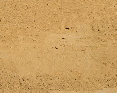 Gewaschener Mauersand in gleichmäßiger Verteilung, beige Farbe, texturiert. Entsorgen Versorgen Logo.
