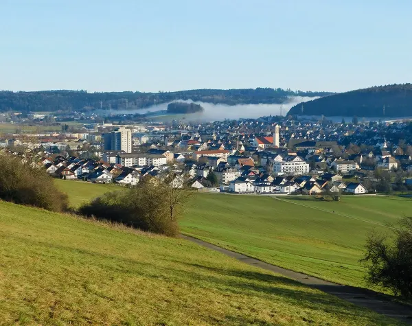 Landschaft im Landkreis Schwarzwald-Baar-Kreis mit Wiesen, Wohnhäusern und bewaldeten Hügeln im Hintergrund.