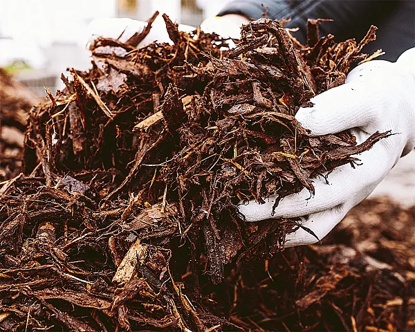 Grober Rindenmulch in weißen Handschuhen, bereit zum Verladen durch Containerdienst Aust GmbH & Co. KG.