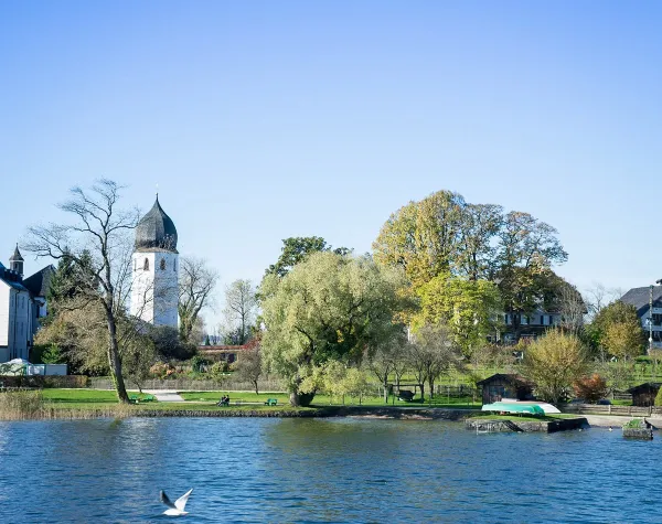 Stadtansicht von Rosenheim mit Kirchturm, Bäumen und Fluss im Vordergrund. Eine Möwe fliegt über das Wasser.