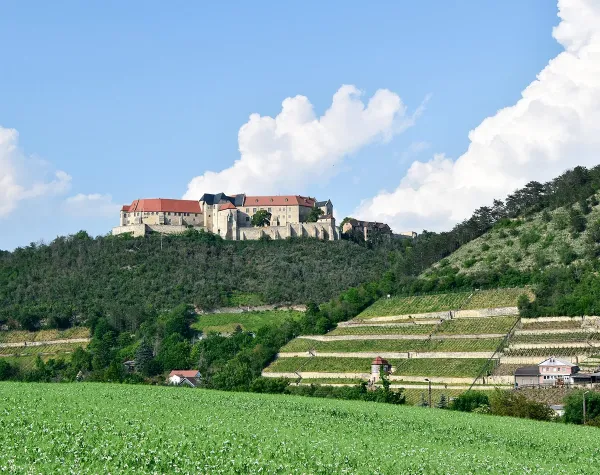 Schloss mit roten Dächern auf einem bewaldeten Hügel, umgeben von Weinbergen unter blauem Himmel.