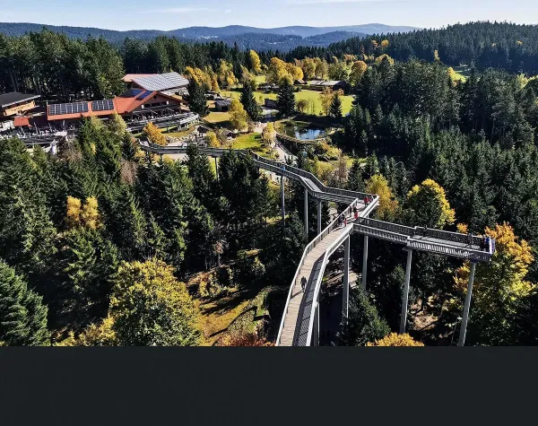 Ein Baumwipfelpfad führt durch einen bunten Herbstwald in Straubing-Bogen, umgeben von Hügeln und Gebäuden.