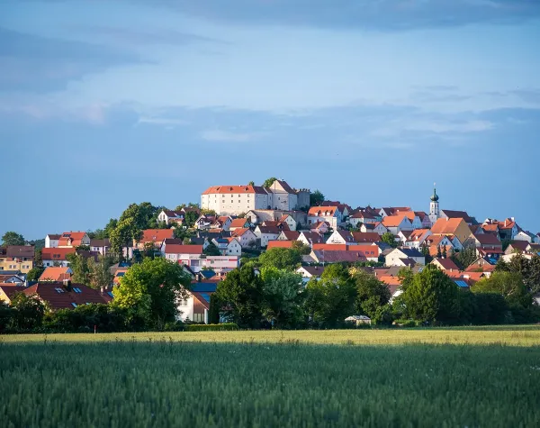 Blick auf Weiden i.d.OPf. mit historischem Gebäude und roten Dächern, eingebettet in grüne Landschaft.
