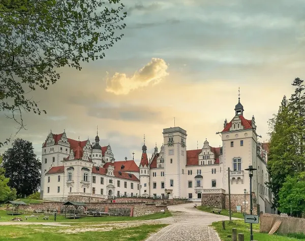 Historisches Schloss in der Uckermark mit roten Dächern und vielfältigen Türmen, umgeben von Grünflächen und Bäumen.